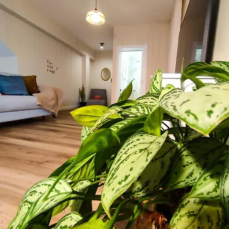 Homestay Vitoria's Vale