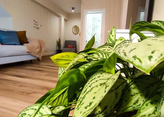 民宿 Vitoria's Vale