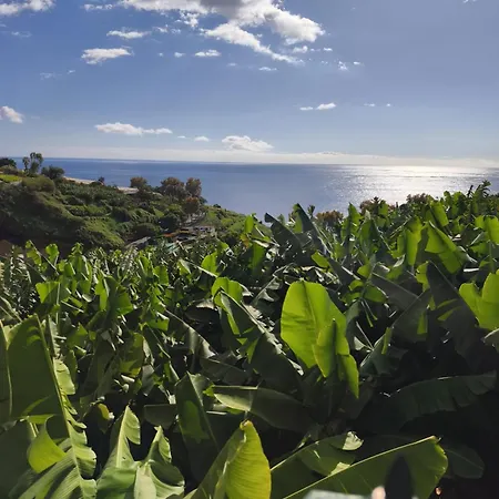 Vitoria's Vale Funchal