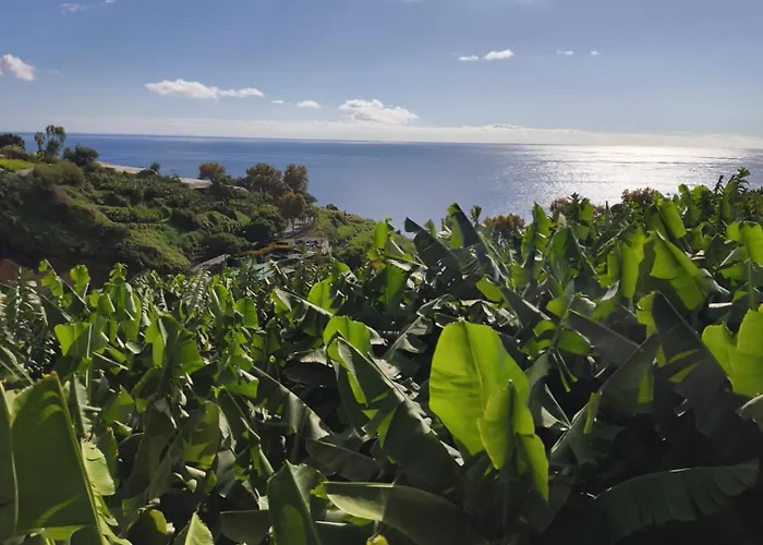 Vitoria's Vale Funchal
